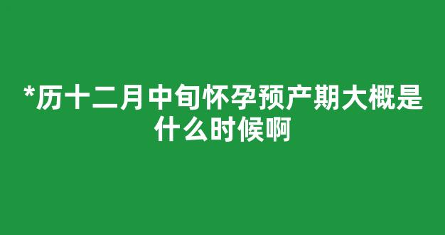 *历十二月中旬怀孕预产期大概是什么时候啊