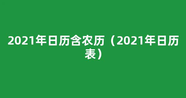 2021年日历表全年带农历及休假安排(A4打印)